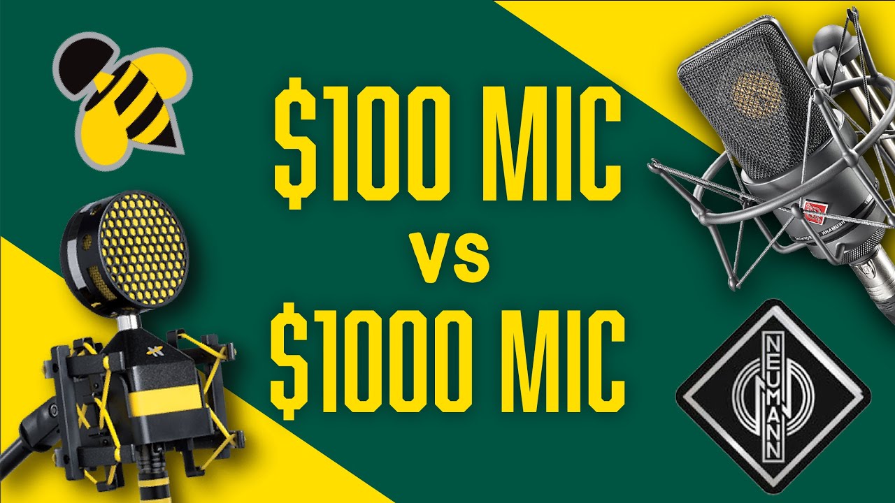 Neumann TLM103 vs Neat Microphones Worker Bee | Mic Comparison for Broadcasters & Podcasters