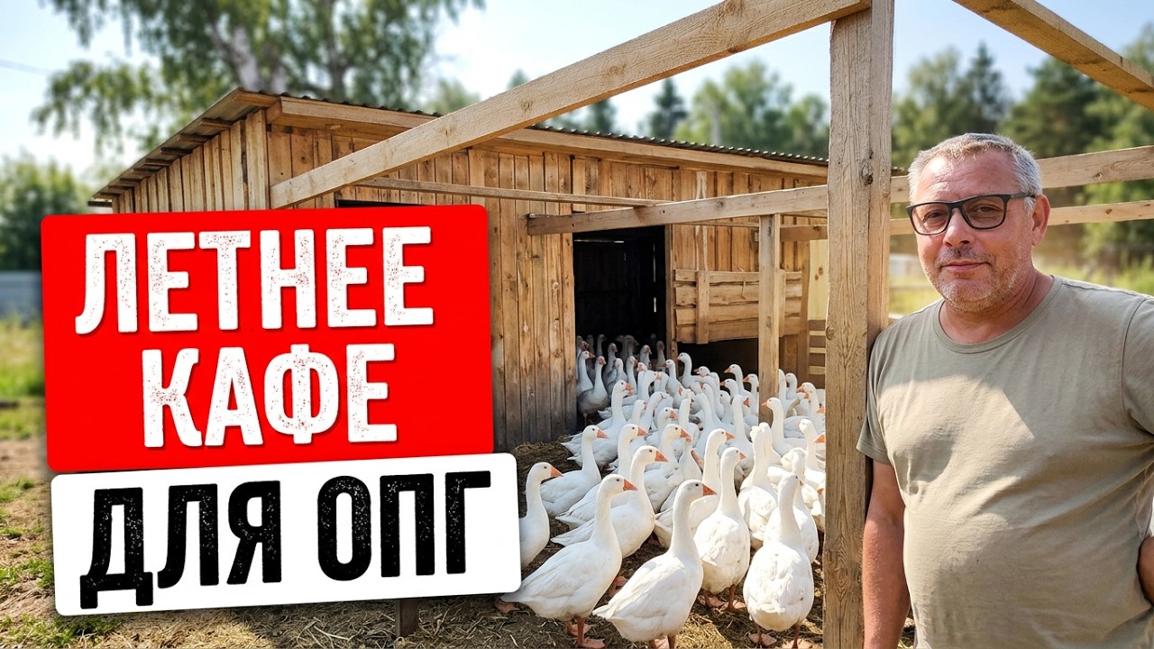 ГУСИ В ШОКЕ! 😱 Выпустил ОПГ на первую прогулку 🦢