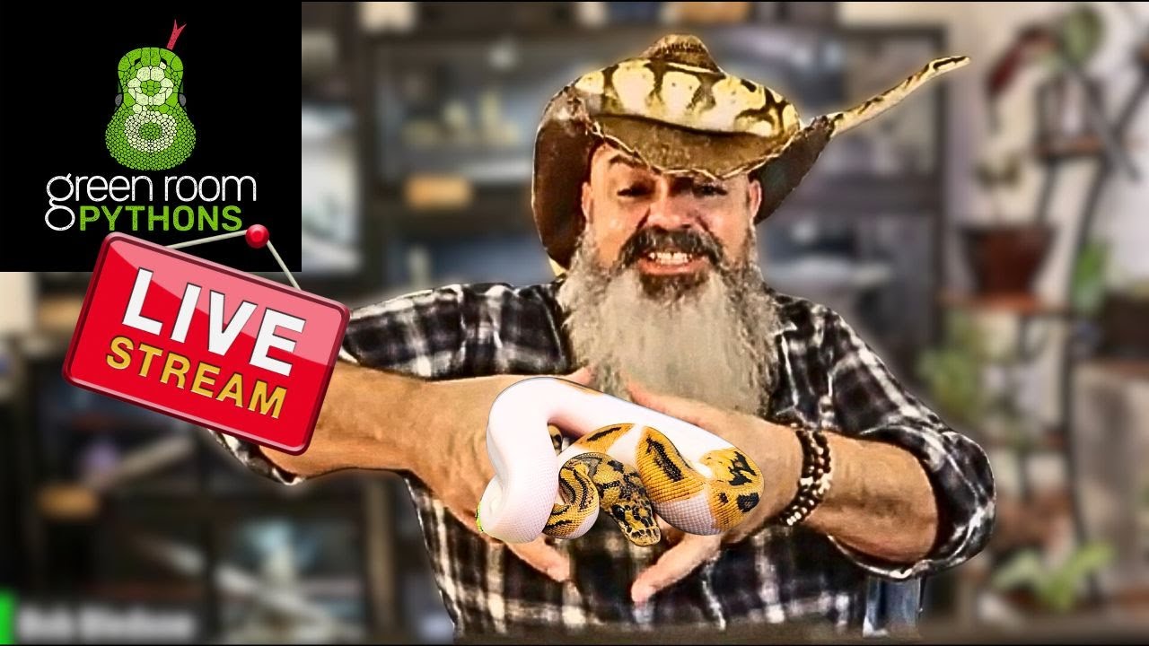 Snakes & Scotch Livestream: Questions will be answered!
