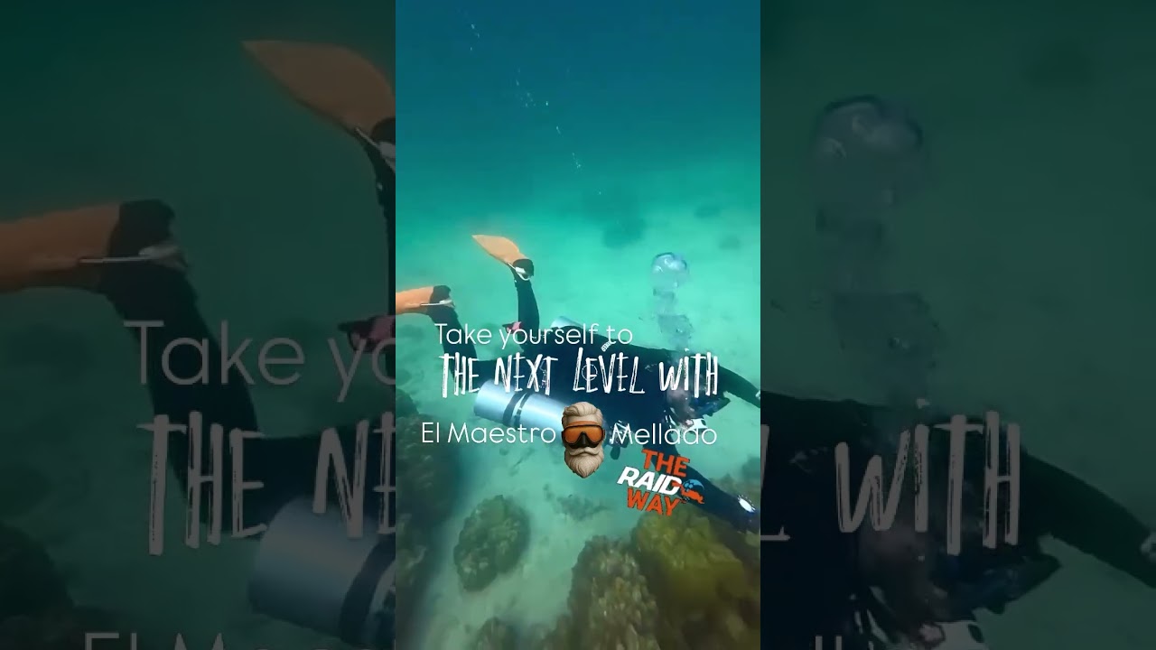 Level 🆙! Sidemount diving! 