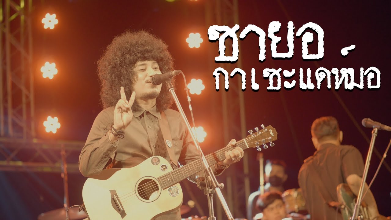 ซายอกาเซะแดห์มอ - อานัส ยามลมโชยมา แสดงสด