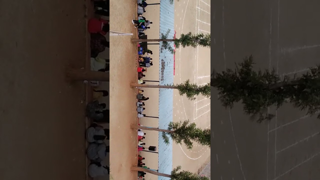 Yoga 2026 sports day.
