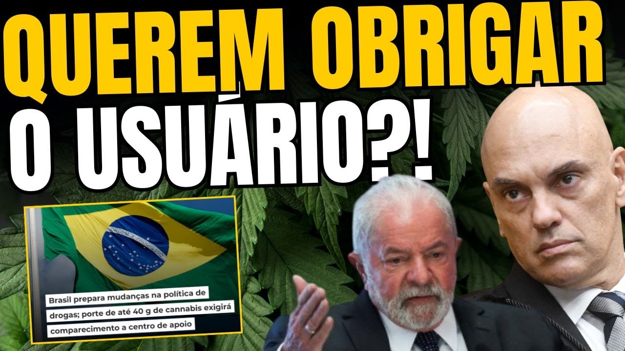 TRIAGEM PARA USU&Aacute;RIOS? O que MUDA na DECIS&Atilde;O do STF sobre a DESCRIMINALIZA&Ccedil;&Atilde;O?