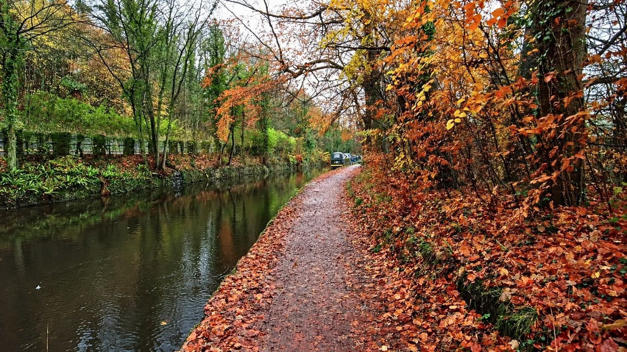 Rainy Bugsworth Basin Canal Walk, English Countryside 4K
