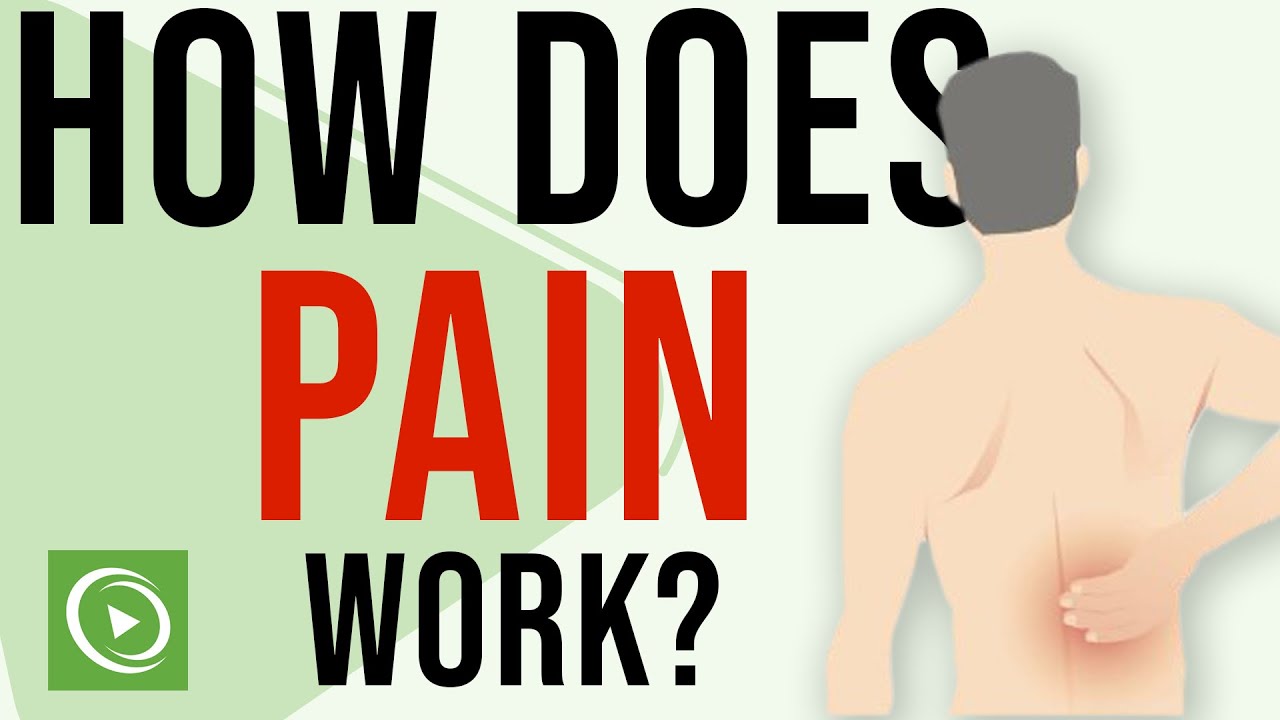How does the body feel pain? | Neuropathic Pain