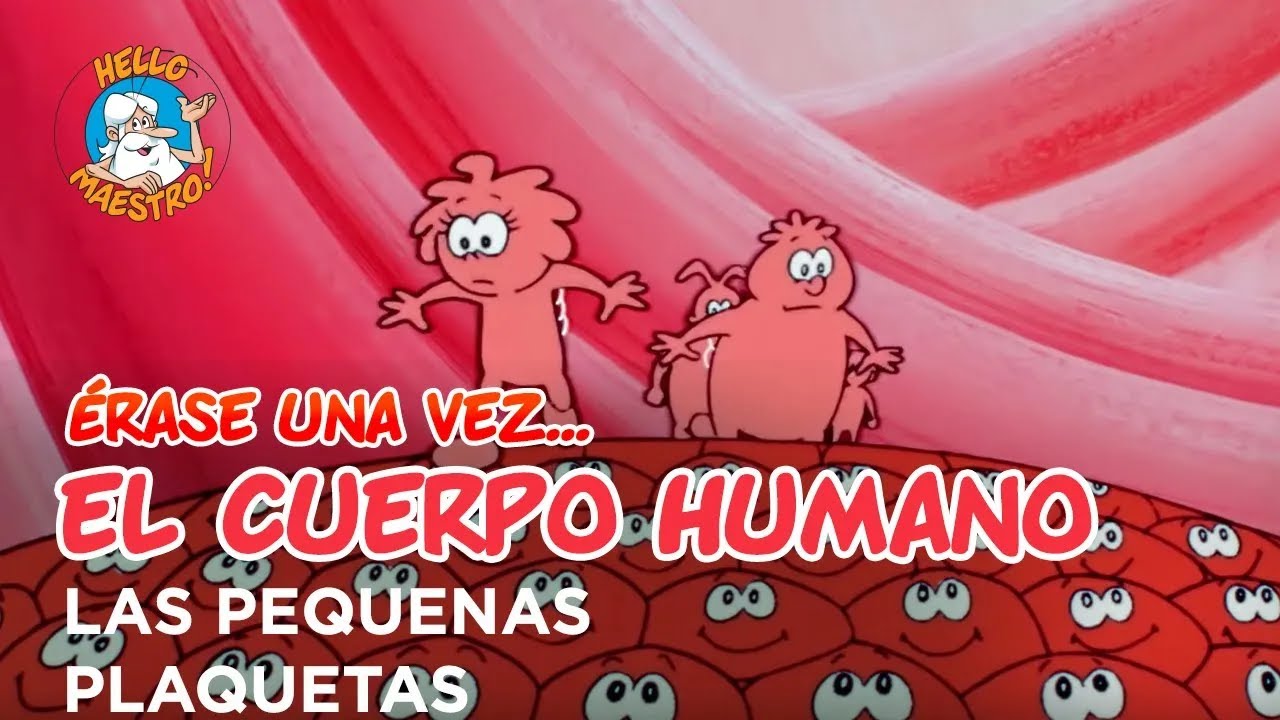 Erase Una Vez... El Cuerpo Humano - Las pequenas plaquetas
