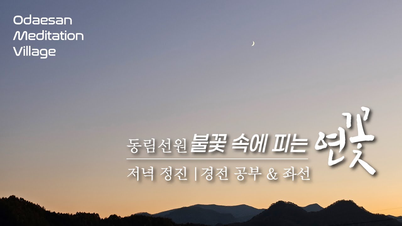 불꽃 속에 피는 연꽃 | 2026.2.24.(화) 저녁 정진 | 좌선 | Meditation Daily Guided
