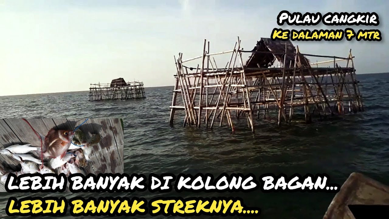 FOKUS DI SATU TITIK||MANCING DI BAGAN PULAU CANGKIR || KRONJO TANGGERANG