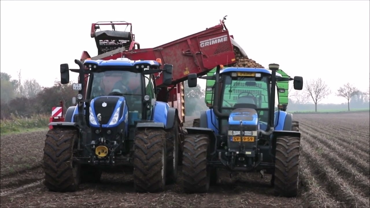 New Holland T7.225 mit Grimme SV 260 plus New Holland TM 140 beim Kartoffel ernten!