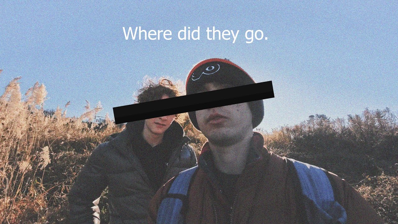 Where did they go. The internet mystery of the missing boys of the Wobbling Woods.