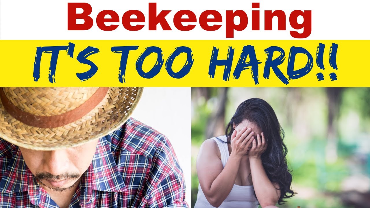 Beekeeping Can Become Way Too Hard! But Don't Give Up
