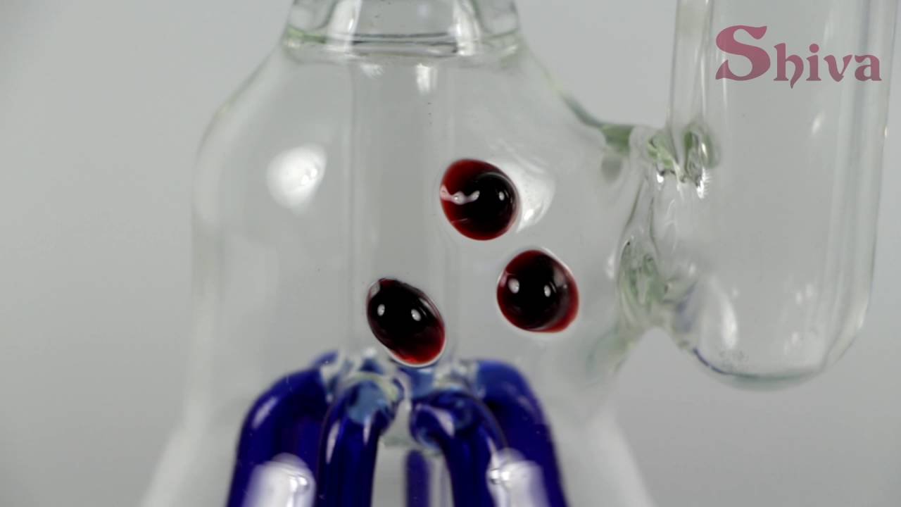 Octopus Glass Percolator Bong : Shiva Online