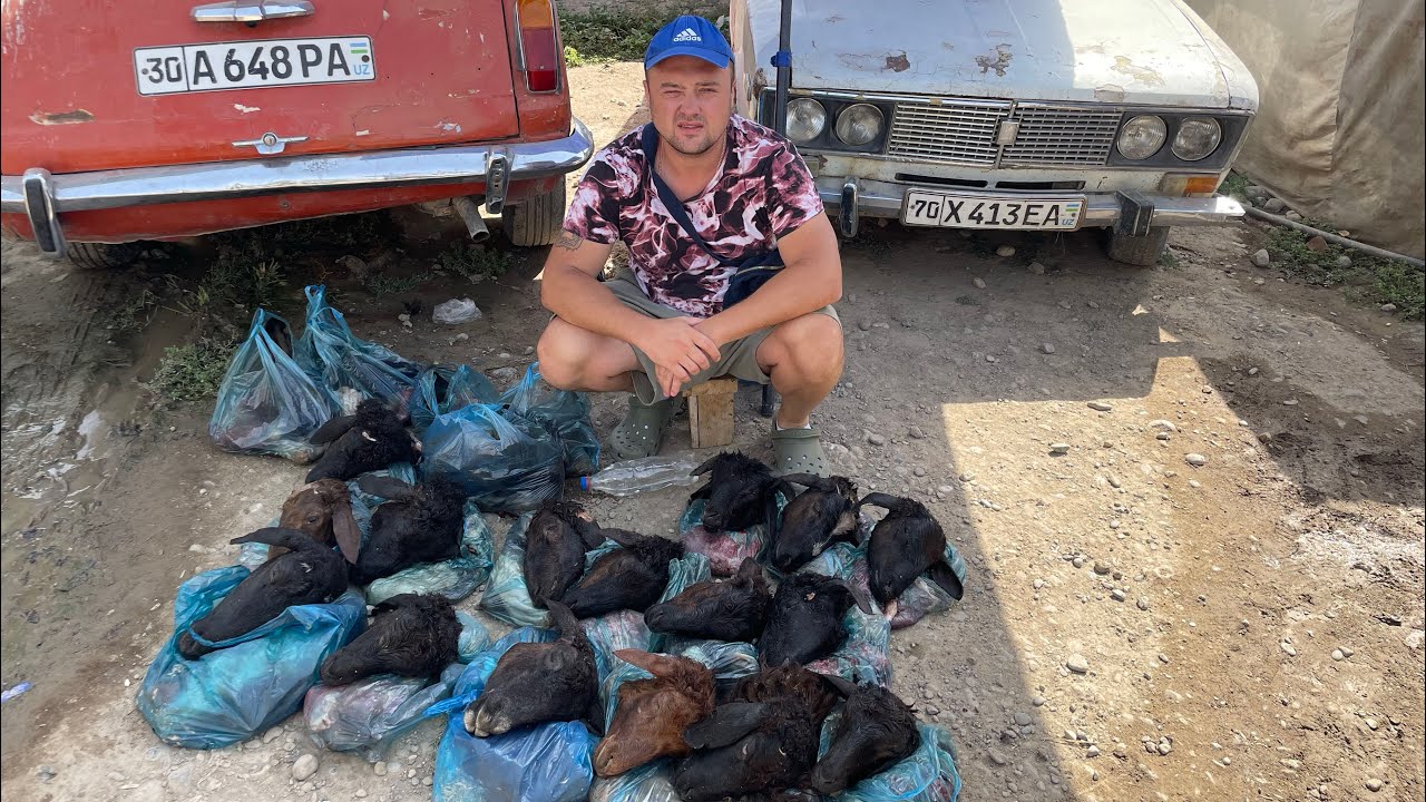 Самый Шокирующий рынок Узбекистана! Покупаем Машину!