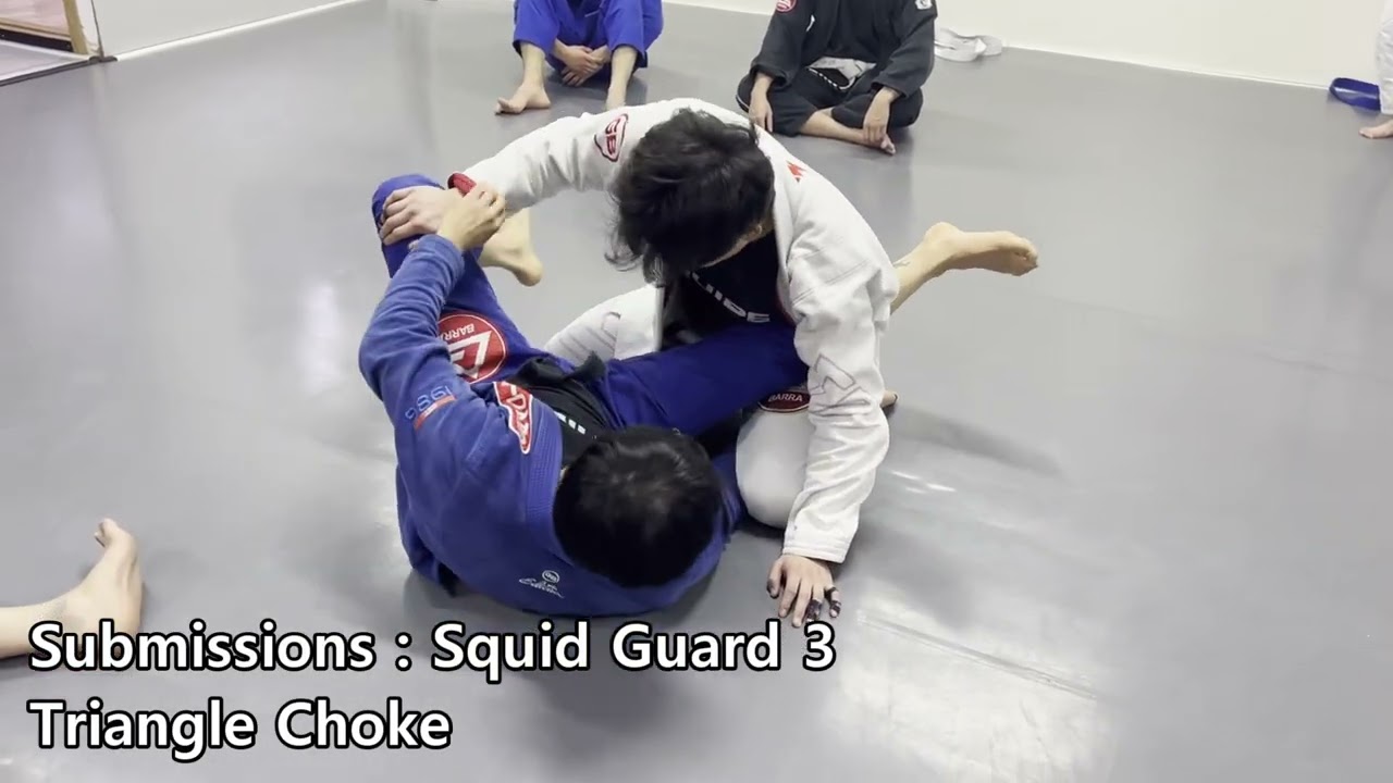 [Bjj]Submissions : Squid Guard 1.2.3.4.5
