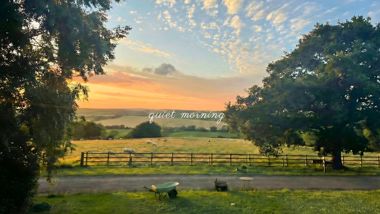 a playlist for a quiet morning 🌿 (calm piano for studying & relaxing)