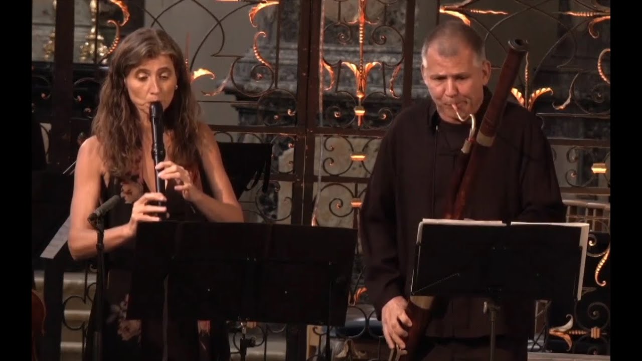 Telemann: Concerto a6 (Doppelkonzert) für Blockflöte, Fagott, Streicher und Bc  - LIVE