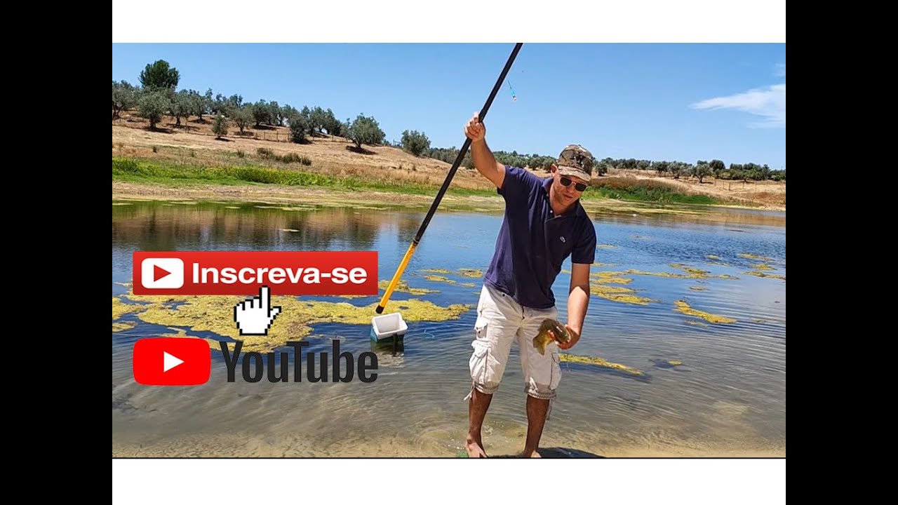 PESCA RAIZ BARRAGEM do ALQUEVA  NESSE VÍDEO MOSTRAREMOS OS ISCOS QUE USAMOS 🎣🐟🤠