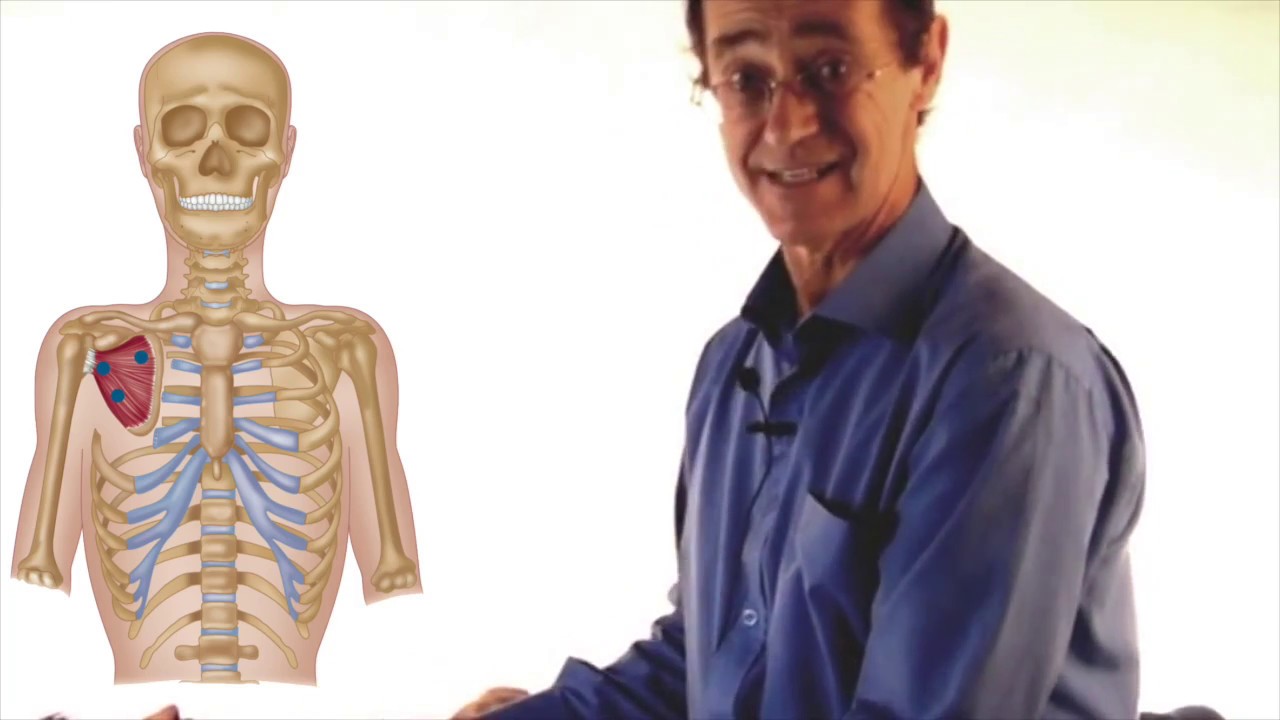 How to Treat a Trigger Point - Subscapularis