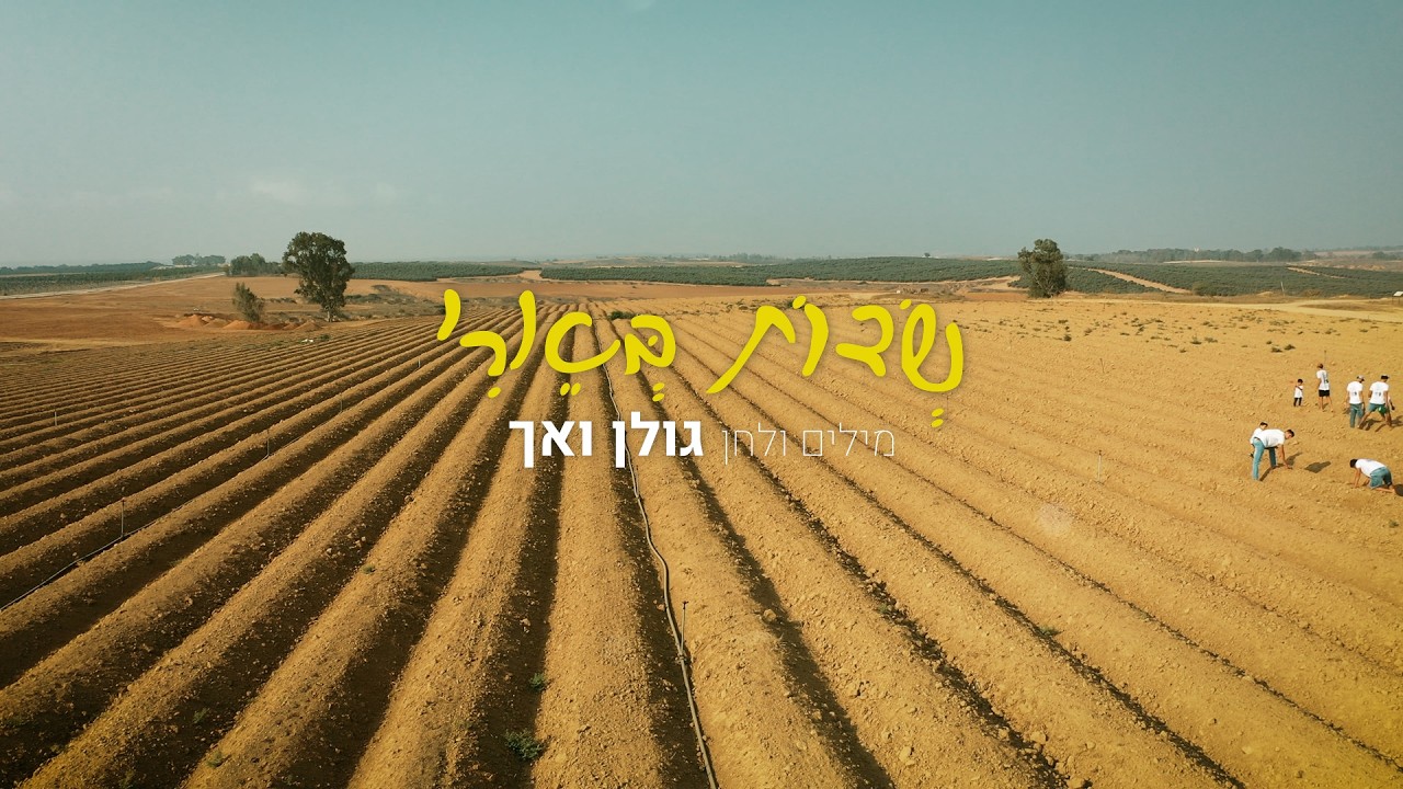 משפחת הופמן - שדות בארי
