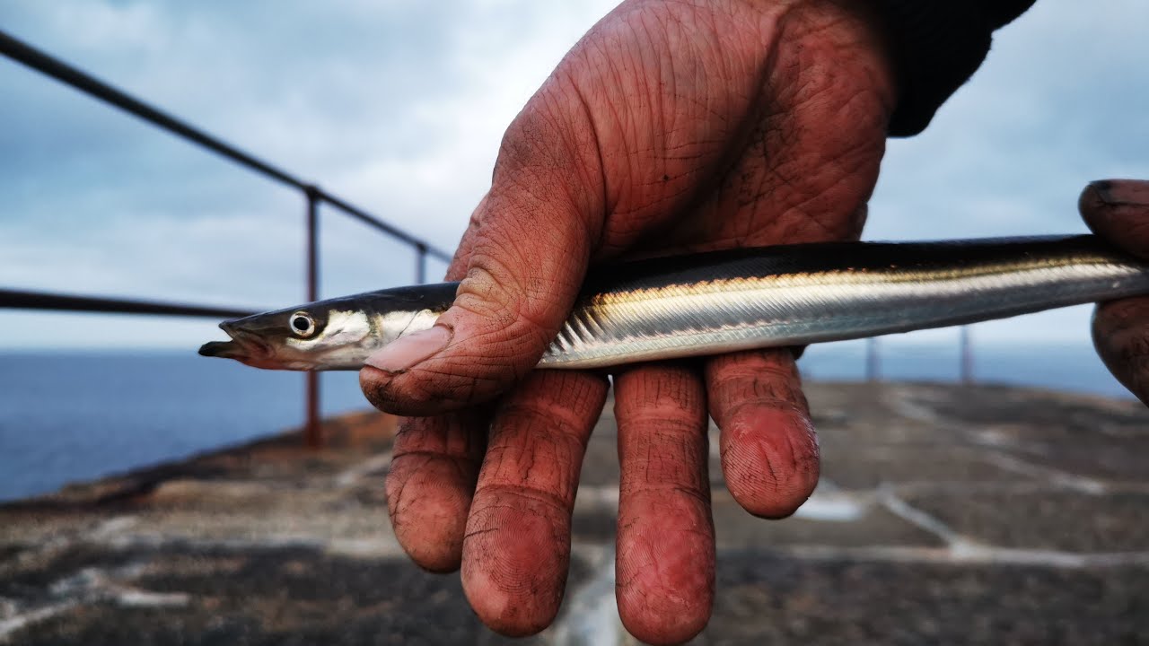Porthleven fishing RNAS Culdrose flying