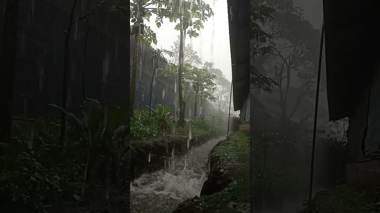 Biarkan hujan membasuh semua stres hari ini. 😴🌧️ Nikmati suasana cozy ini. Jangan lupa earphone!