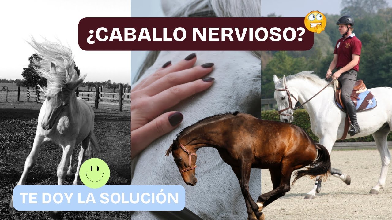 ¿Tienes Un Caballo Nervioso? 🐎 Conoce las razones y soluciónalo | Parte 1