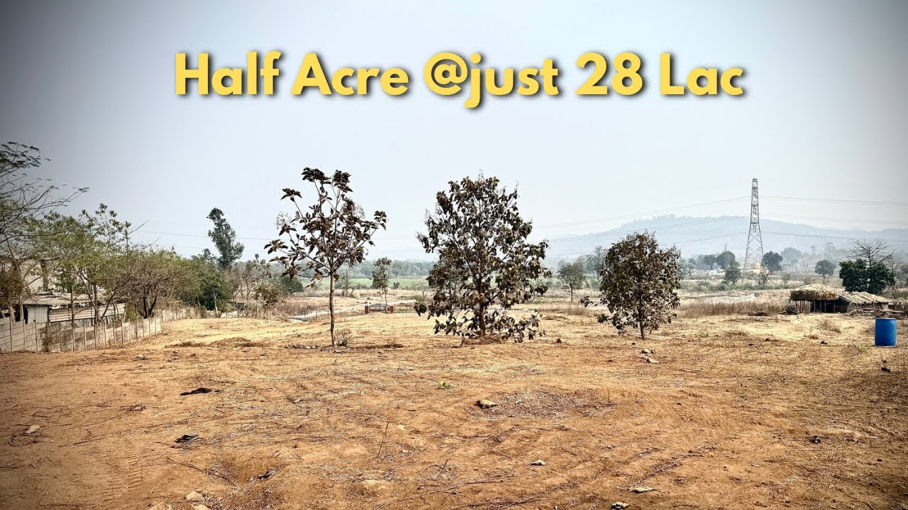 Half Acre Open View Plot Near Pali | Road Touch | Gated Project | ₹28 Lakh 8928004431