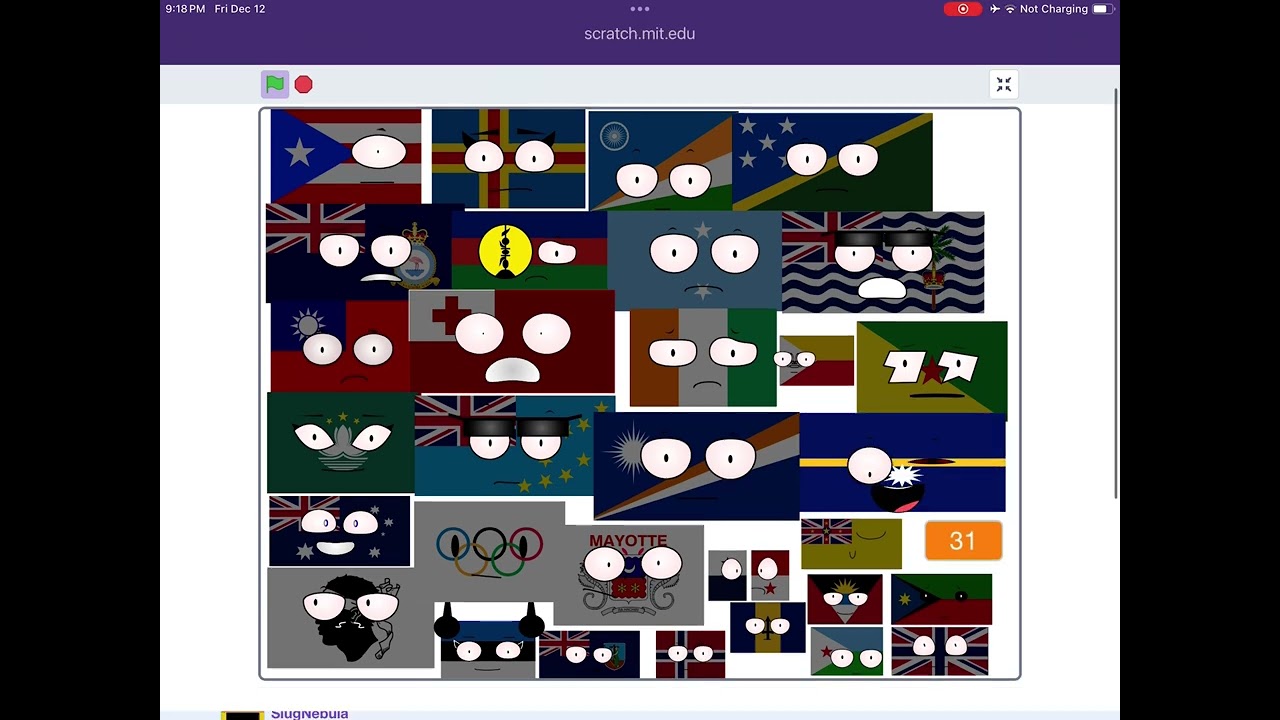 FLAG BNAD 