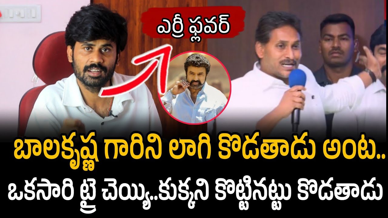 బాలకృష్ణ గారిని లాగి కొడతాడు అంట.. ఒకసారి ట్రై చెయ్యి.. కుక్కని కొట్టినట్టు కొడతాడు |  ys Jagan 