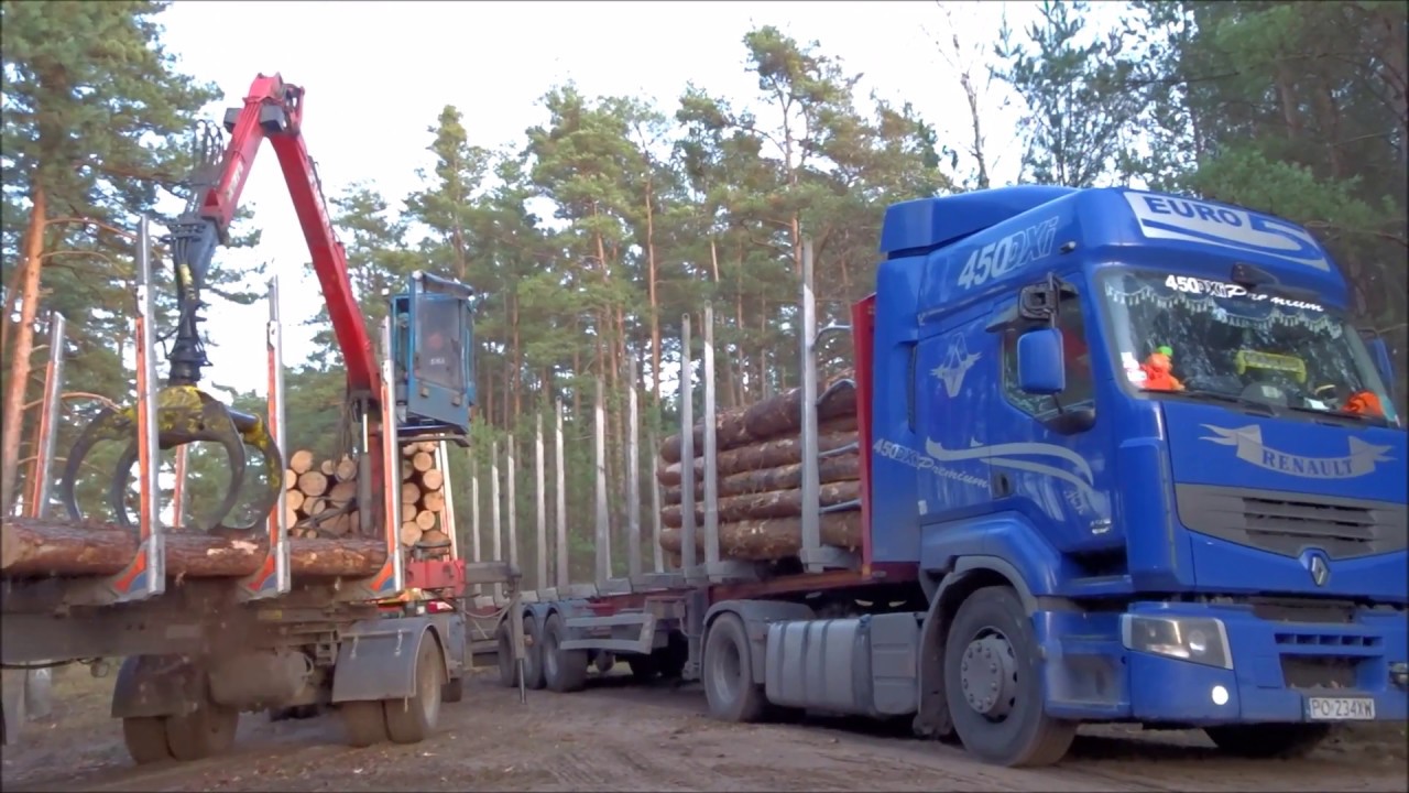 Załadunek drewna i wtopa Renault 450 DXI Premium.