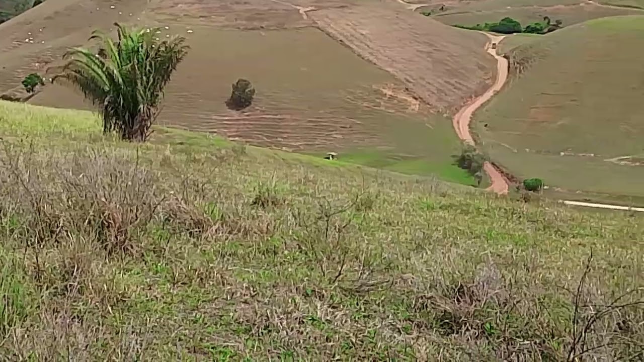 Fazenda tapuia 