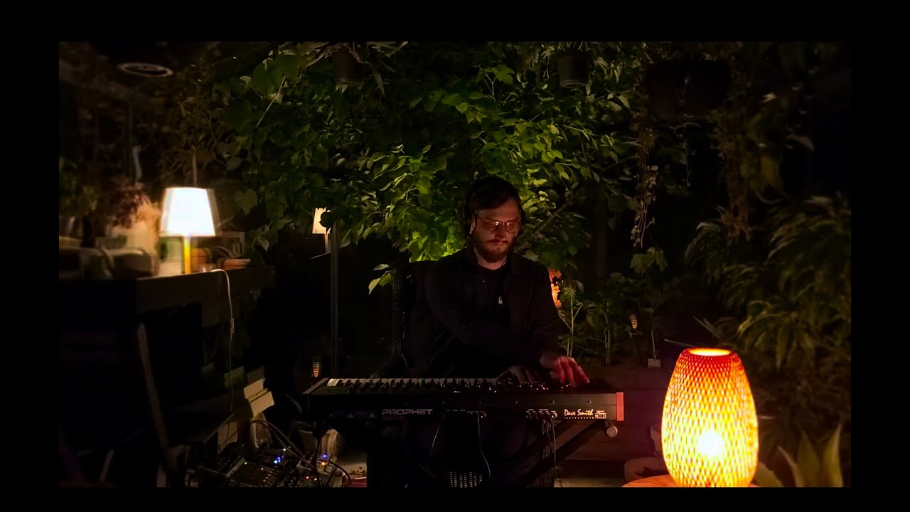 Moon Canvas - Night flora (Ambient live-set)