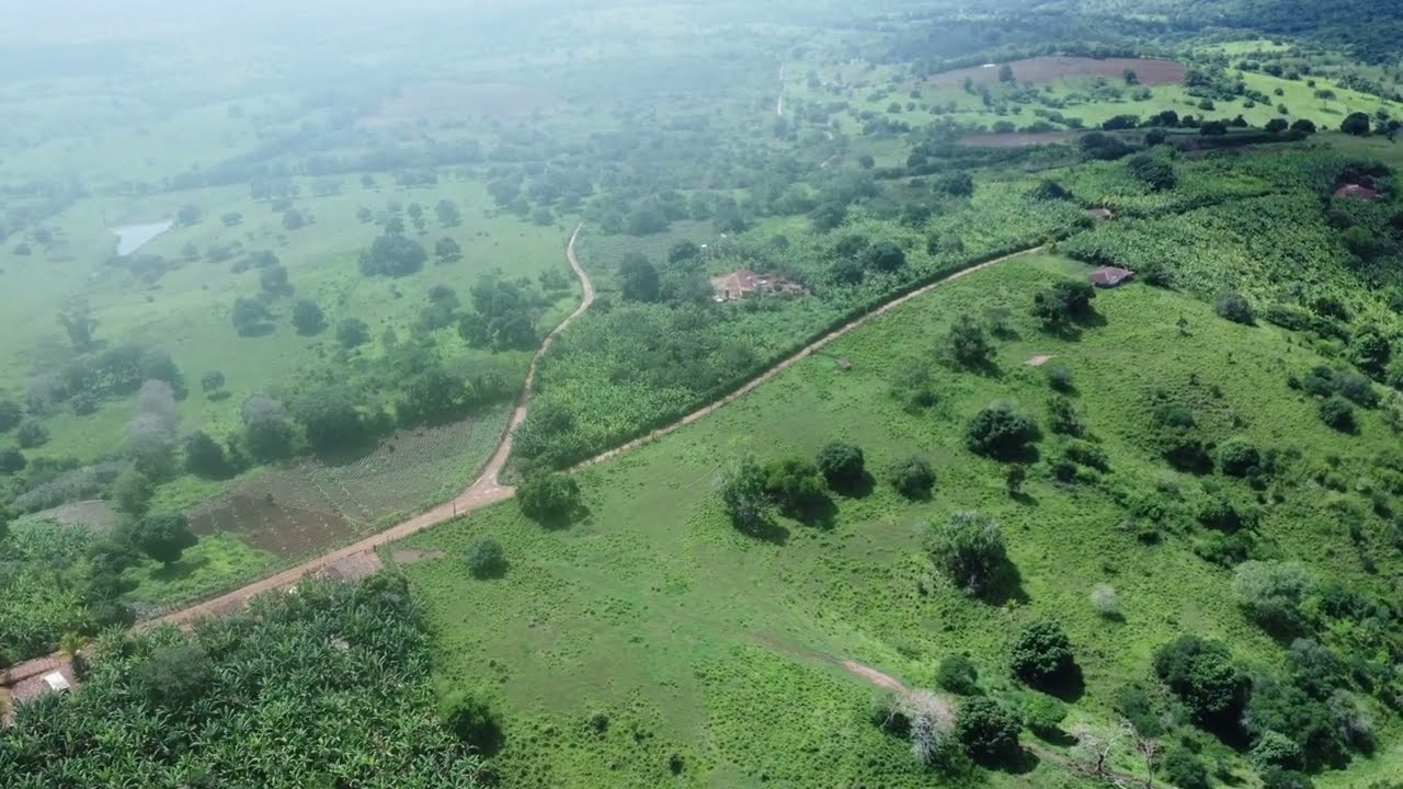 SÍTIO GRAVATÁ/SERRA DO CANDARÁ/ PALMEIRA DOS ÍNDIOS/ VISTO POR CIMA ☝️ ☝️