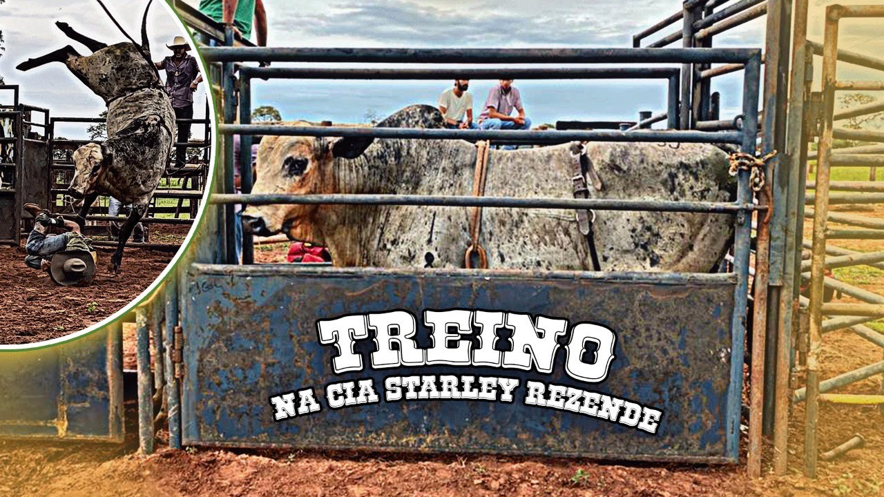 TREINO NA CIA STARLEY REZENDE | RODEIO EM TOUROS