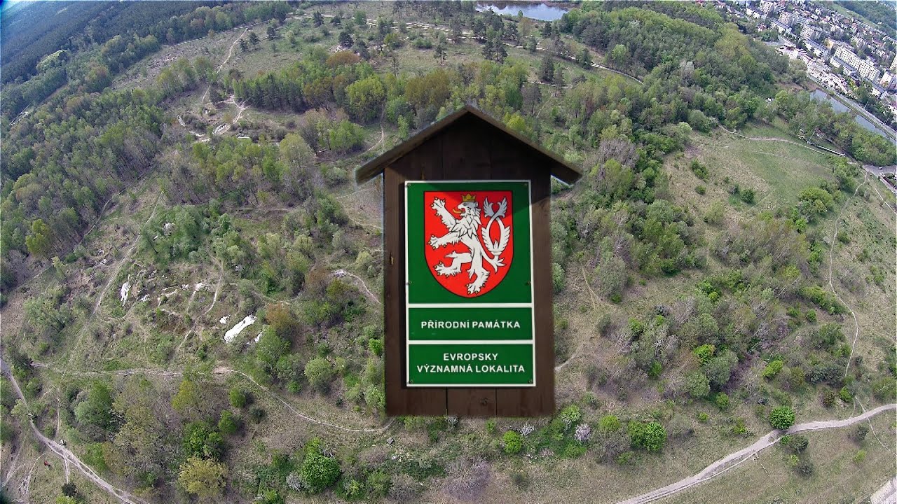 Přírodní památka Na Plachtě v Hradci Králové