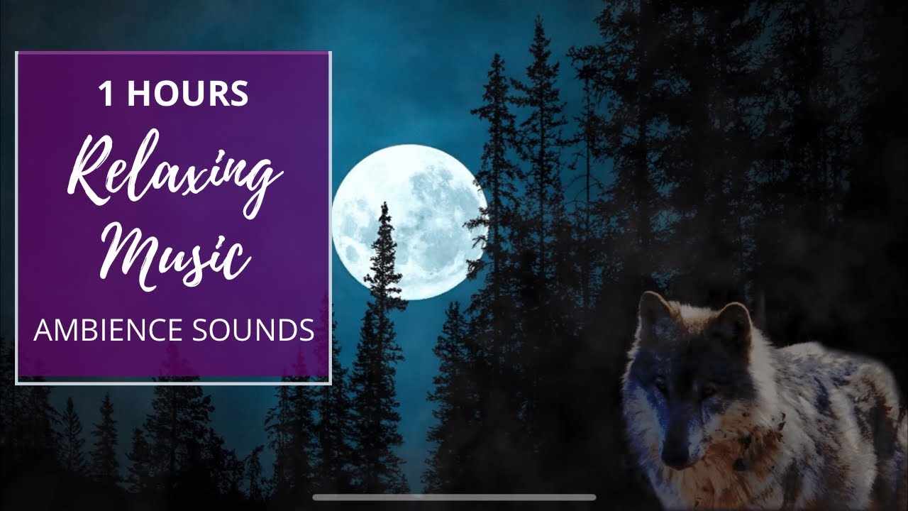 Wolf Howls, Nature At Night. Sleep, Relax, Peaceful [1 HOUR] Ambient Sounds, Music, and Imagery