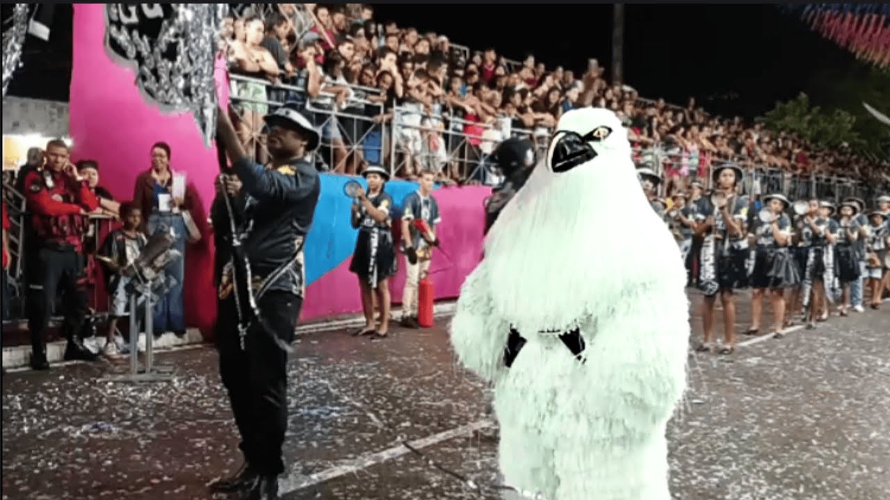 Urso Gavião É O MELHOR Carnaval Tradição 2025