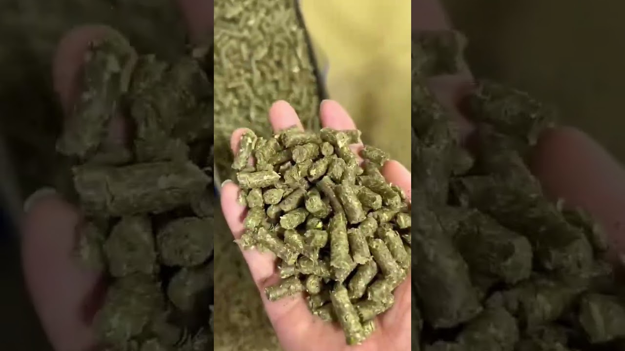 100% dry grass pellet making machine animal feed
