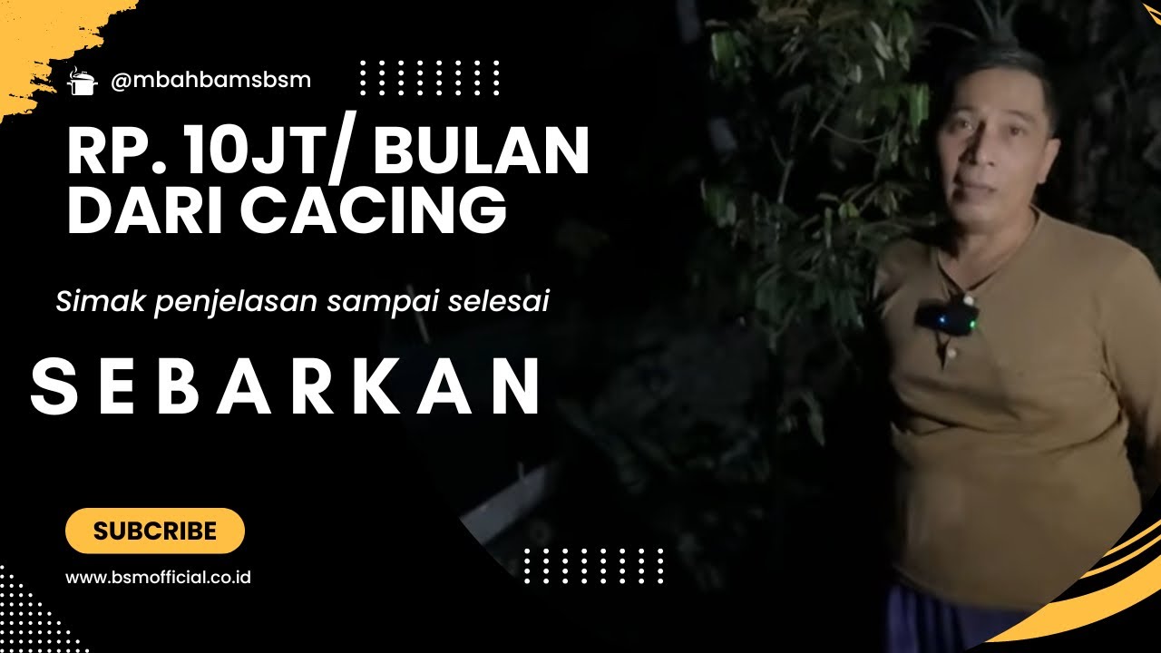 CACING SUTRA HASILKAN 10JT Per Bulan #cacingsutra #bayudiningrat