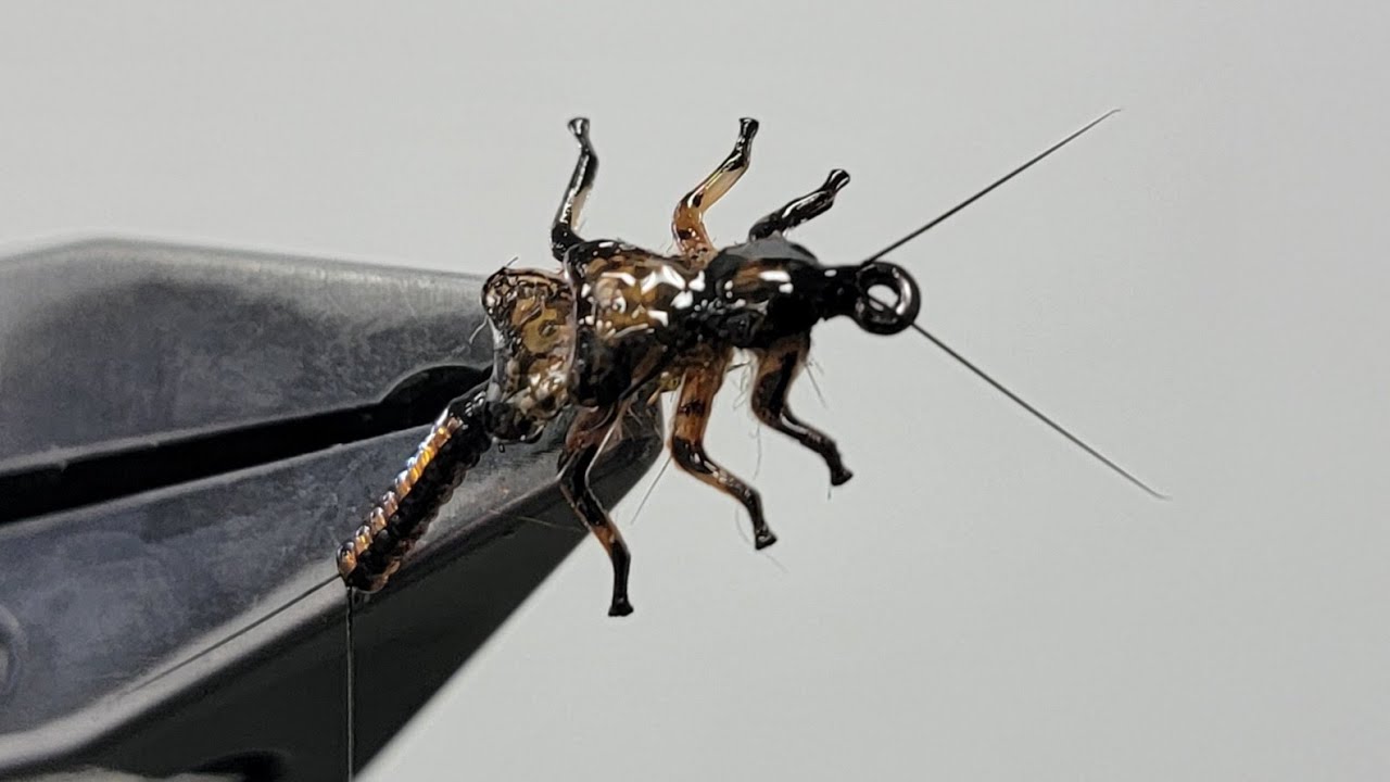 The Stonefly Nymph: A Masterclass in Fly Tying