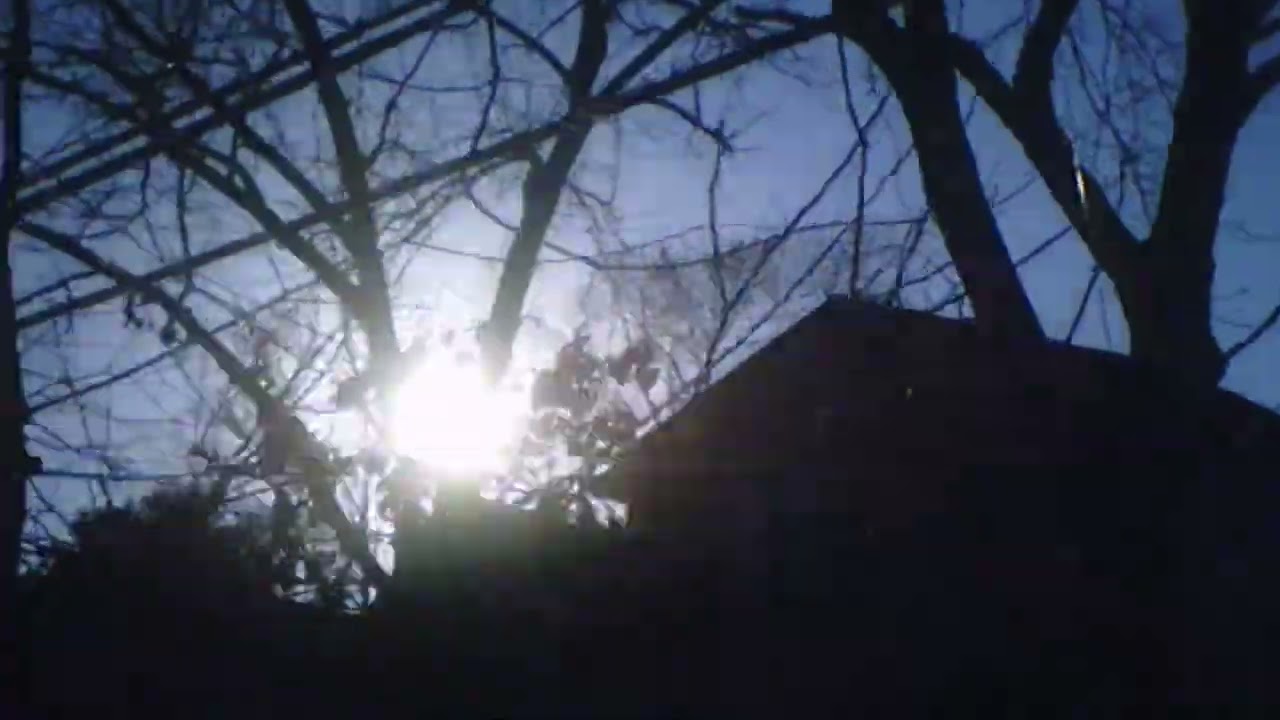 Obscene Dreams (Music Video)