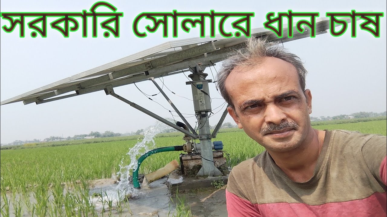 Subsidy Solar Machine দিয়ে ধান রোপন। ব্রহ্মপুত্র নদীর পাশে। Brahmaputra Valley Life.
