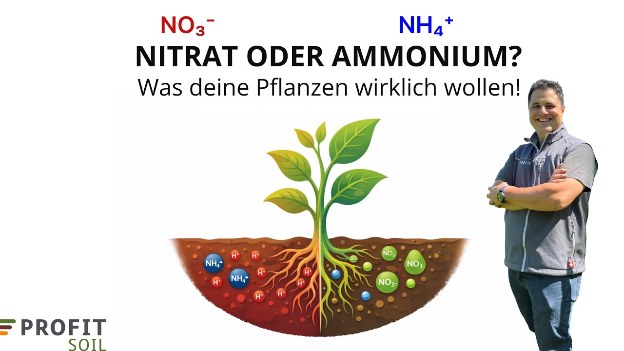 NITRAT ODER AMMONIUM? Was deine Pflanzen wirklich wollen.