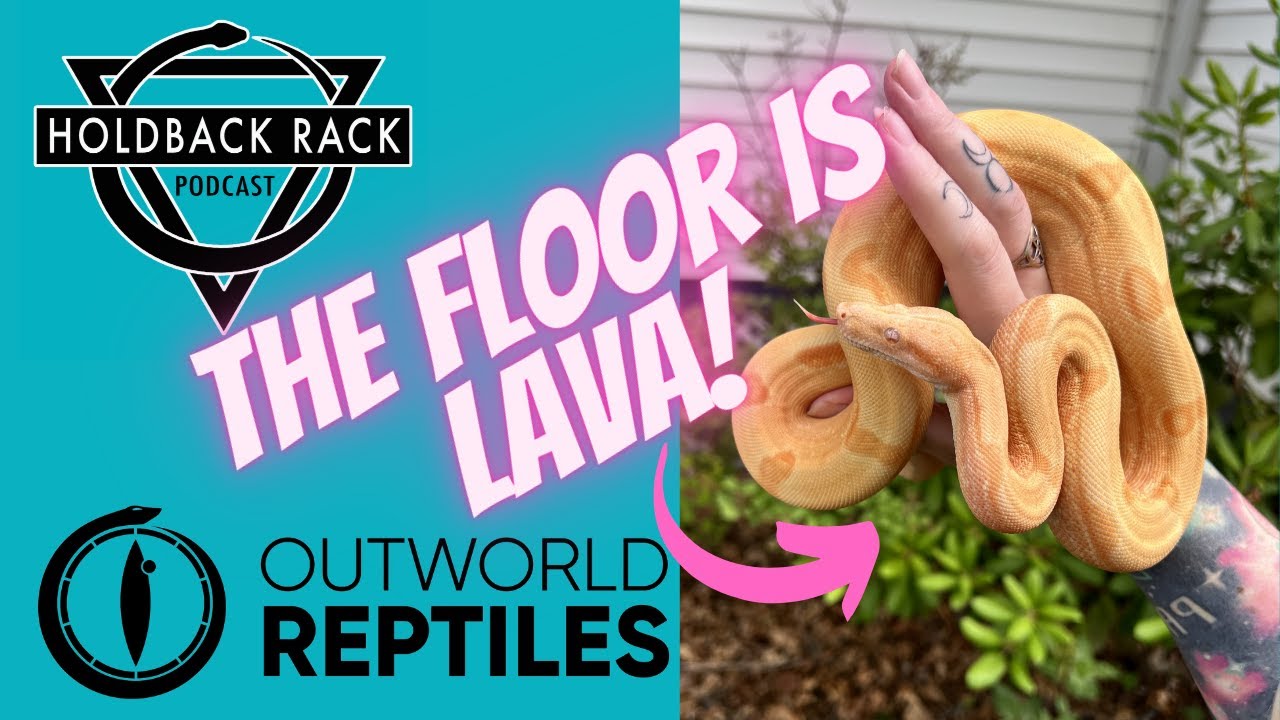 HRP 88 - The Boa Game in 2023 with Maddox Grey - Outworld Reptiles