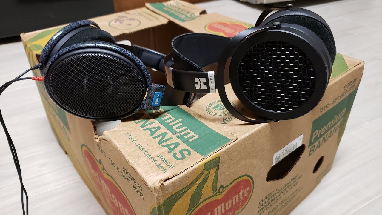 Hifiman Sundara vs Sennheiser HD600 Comparison