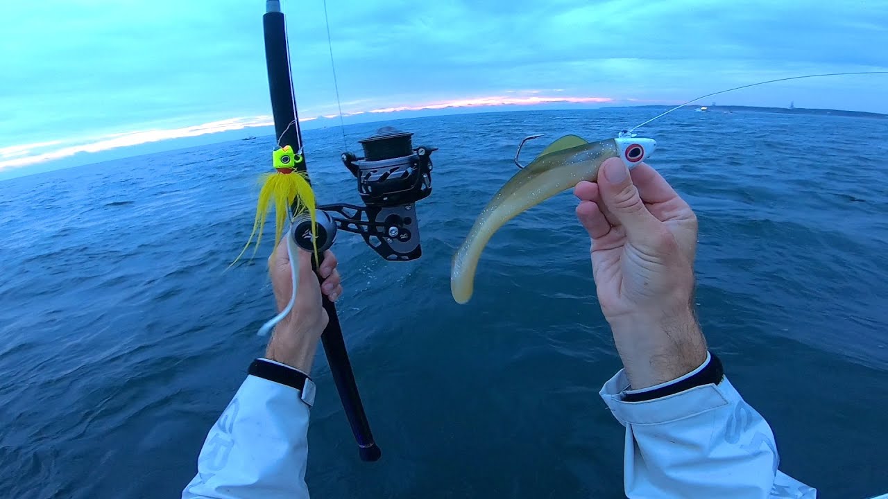 Fall Ocean Bucktailing and Shad Jigging - Montauk