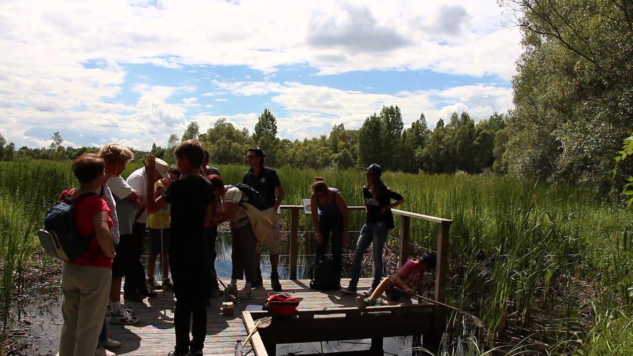 Le marais de Brain-sur-l'Authion : restauration d'un milieu naturel