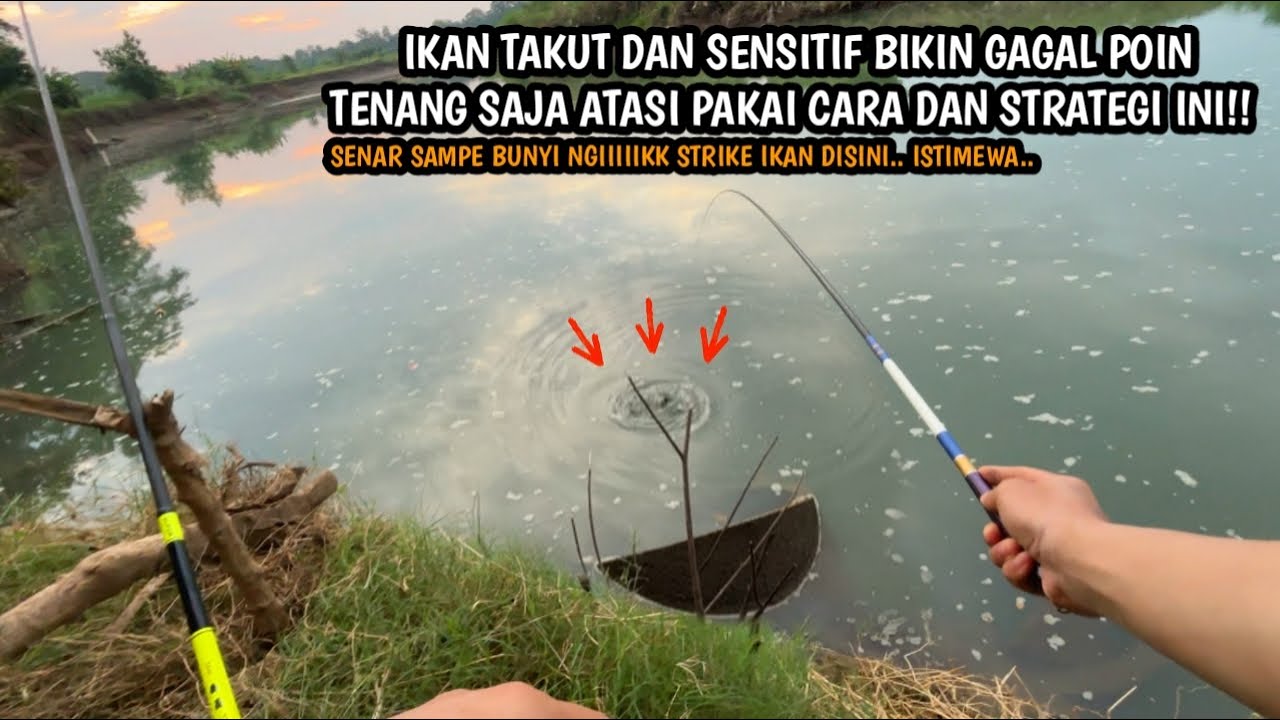 SENAR SAMPE BUNYI NGIIIKKKK DI BEROT IKAN!! Mancing wader umpan rasbora jasuke x di spot air jernih