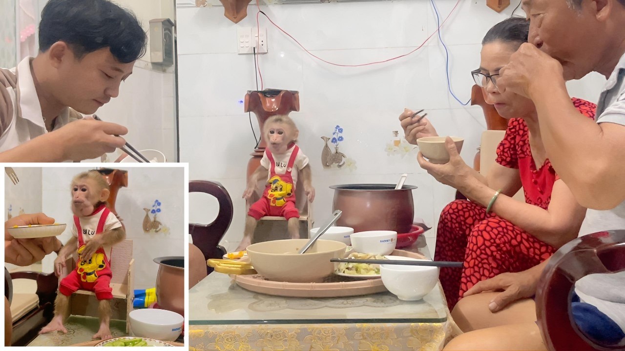 Lulu Enjoys a Warm Dinner with Dad and Grandparents