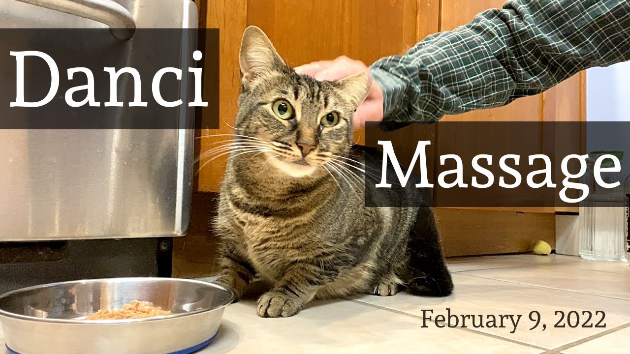 Danci — Massage, February 9, 2022